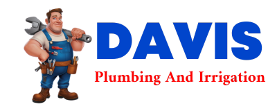 Trusted plumber in NEW BUFFALO